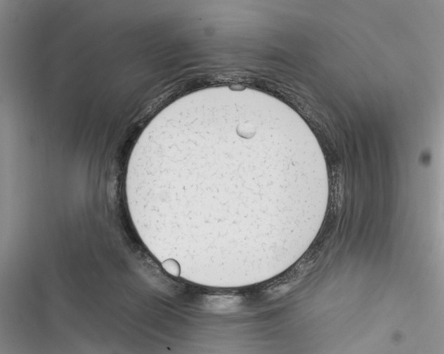 X0000116370266201001131754