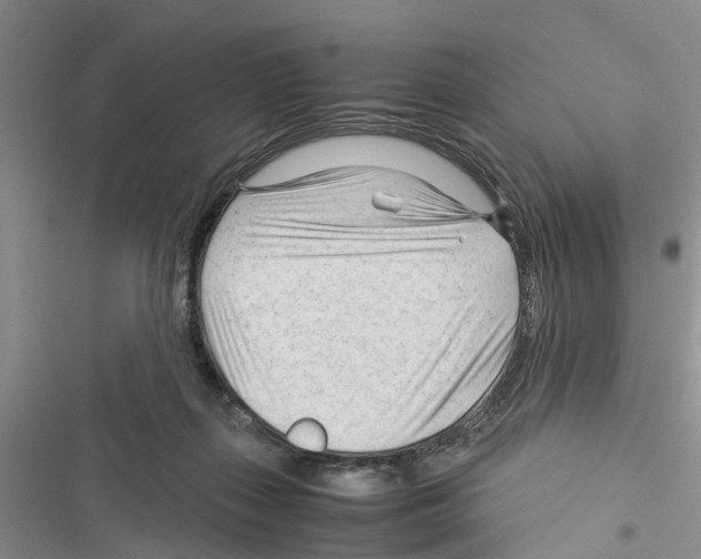 X0000116370267201001131754