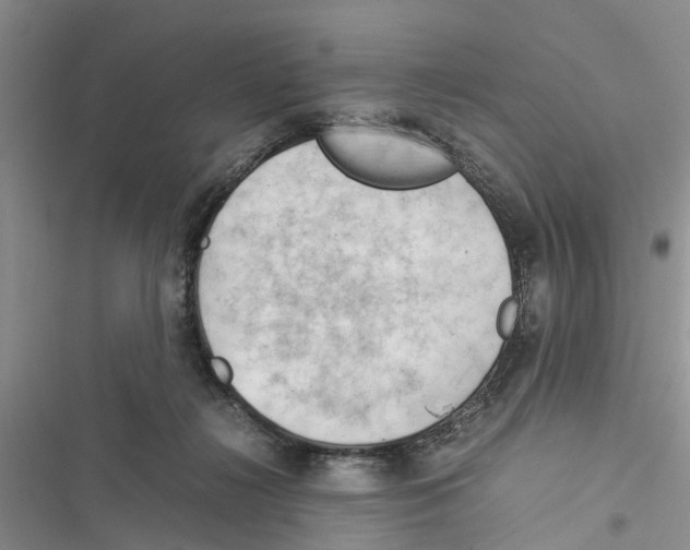 X0000116370268201001131754