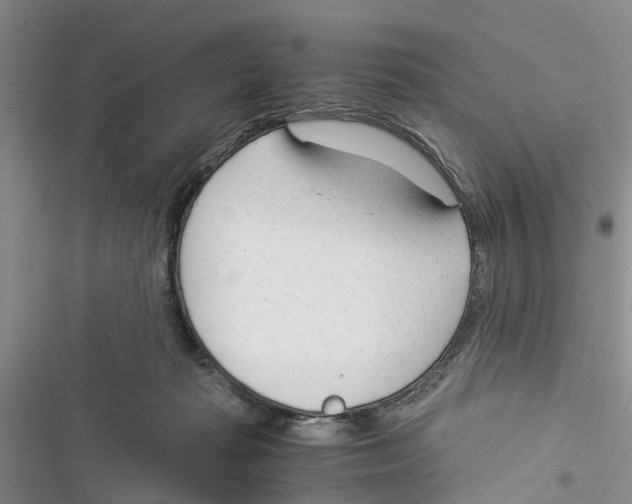 X0000116370269201001131754