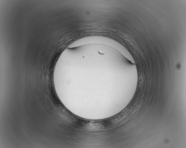 X0000116370270201001131754