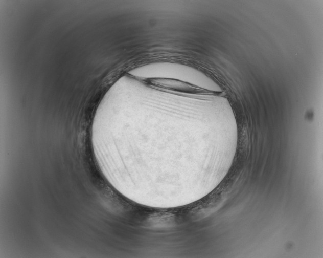 X0000116370271201001131754