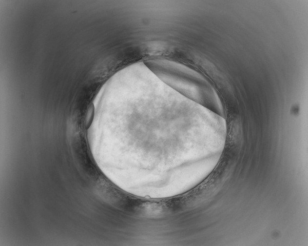 X0000116370272201001131754