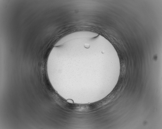 X0000116370274201001131754