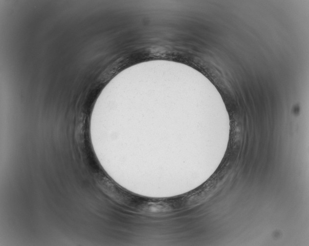 X0000116370275201001131754