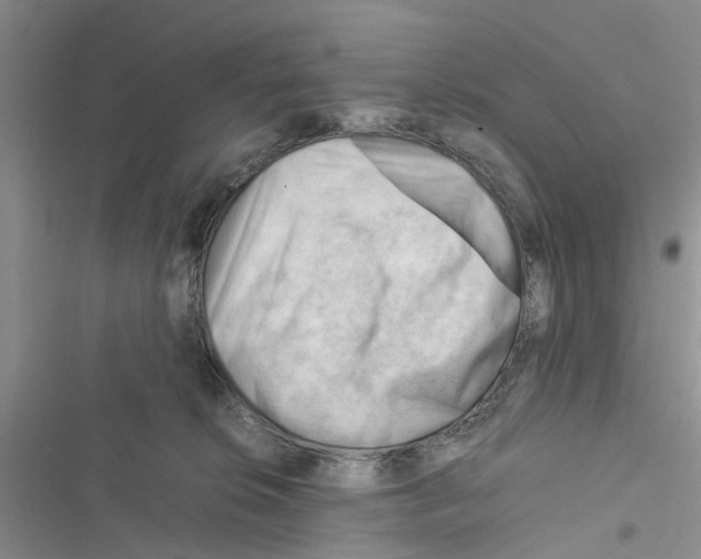 X0000116370276201001131754