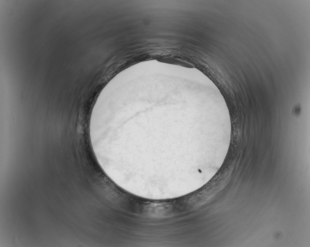 X0000116370277201001131754