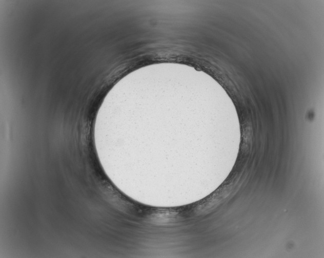 X0000116370278201001131754