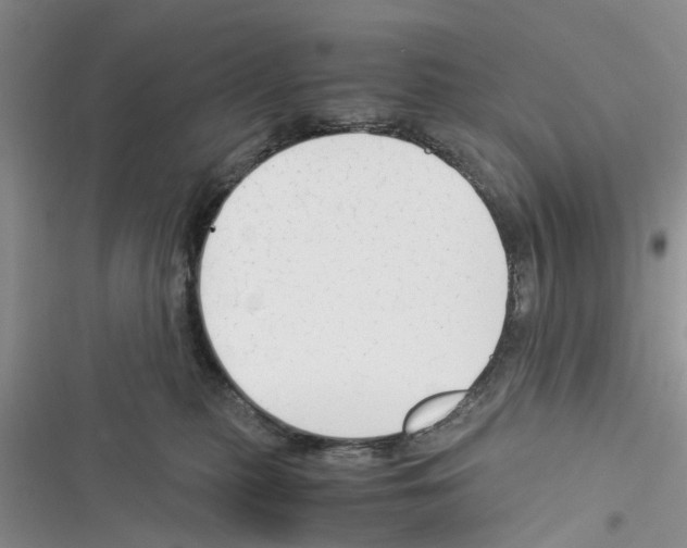 X0000116370279201001131754