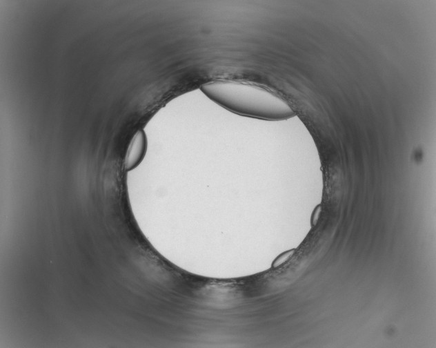 X0000116370280201001131754