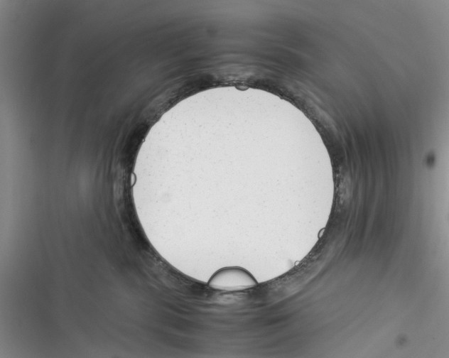 X0000116370283201001131754