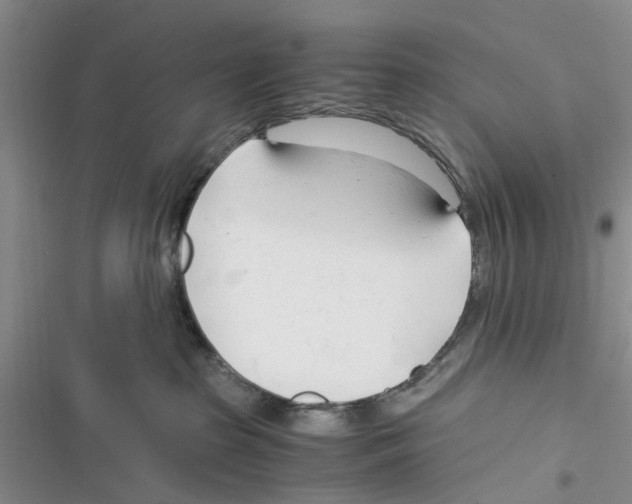 X0000116370285201001131754