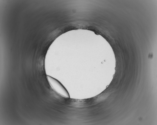 X0000116370288201001131754