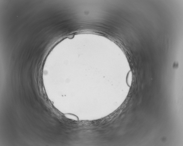 X0000116370289201001131753