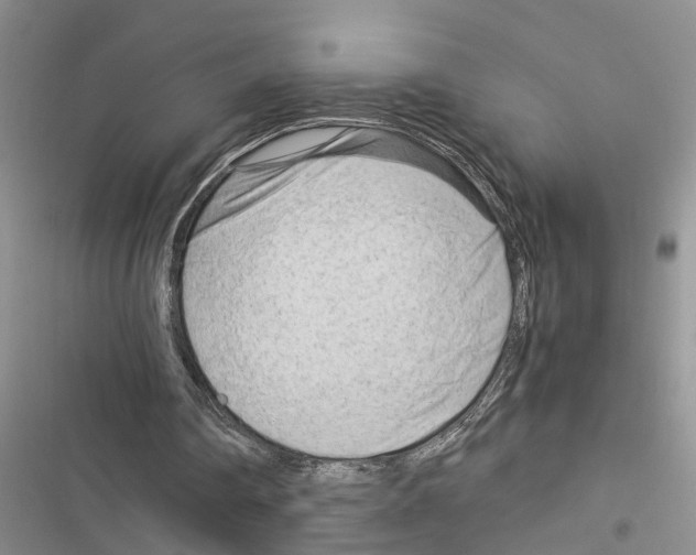 X0000116370290201001131753