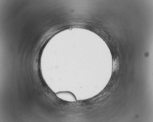 X0000116370291201001131753