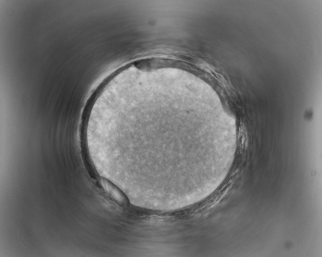 X0000116370292201001131753