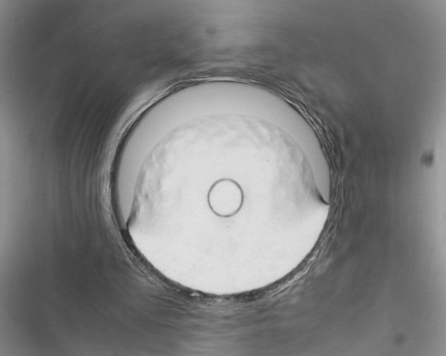 X0000116370293201001131753