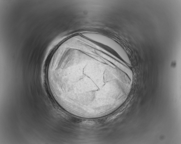 X0000116370294201001131753