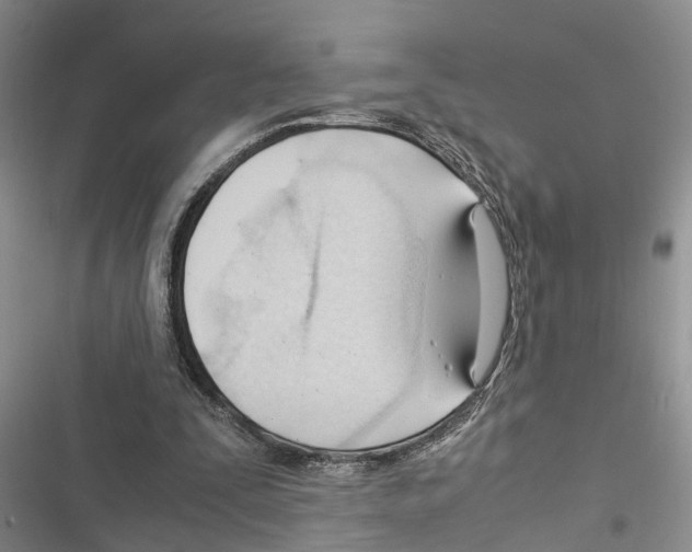 X0000116370295201001131753