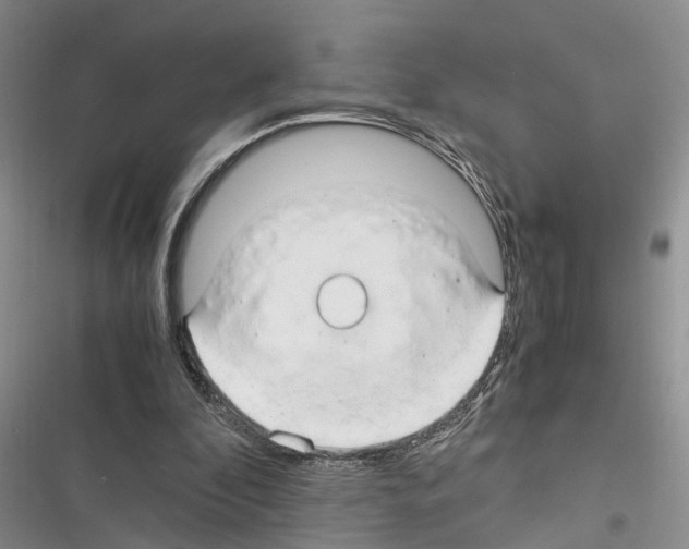 X0000116370296201001131753