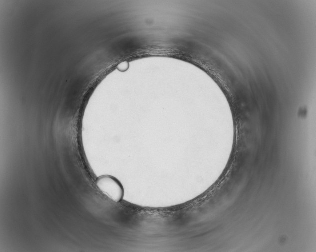 X0000116370297201001131753