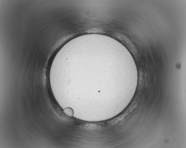 X0000116370298201001131753