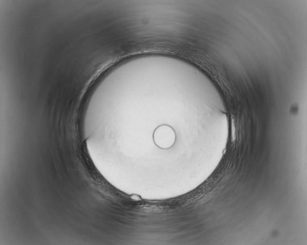 X0000116370300201001131753