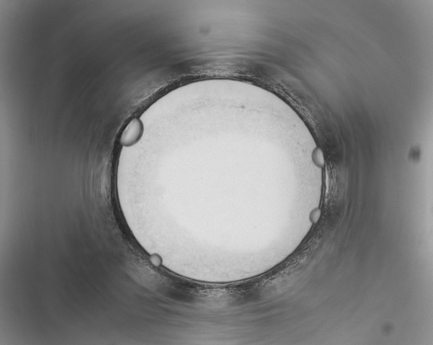 X0000116370301201001131753