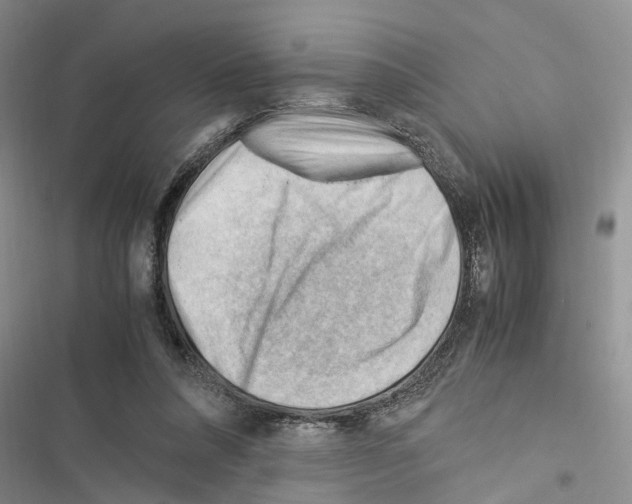 X0000116370304201001131753