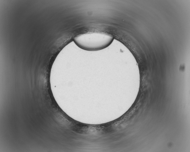 X0000116370305201001131753