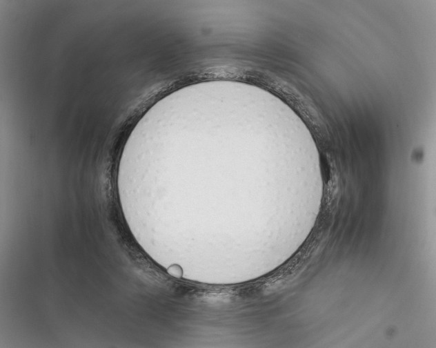 X0000116370306201001131753