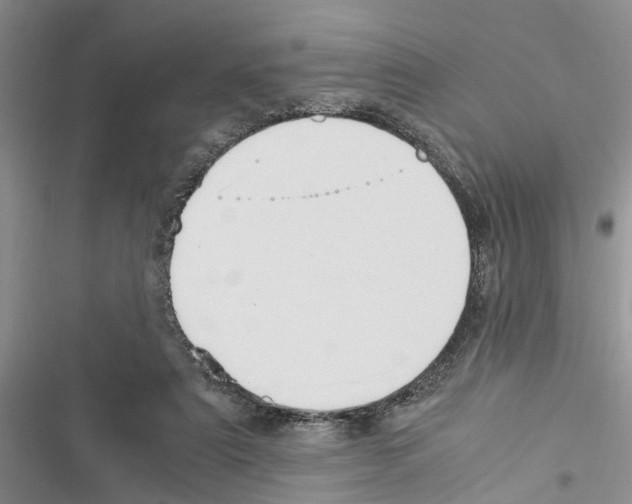 X0000116370307201001131753