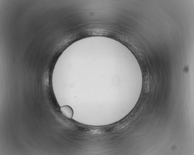 X0000116370310201001131753