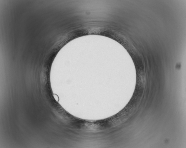 X0000116370311201001131753