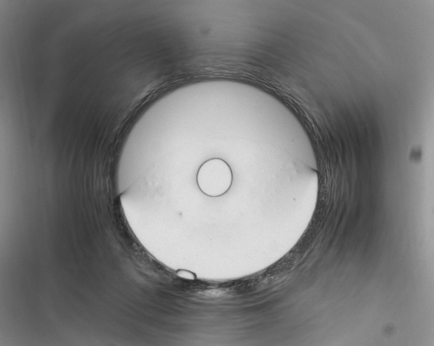 X0000116370312201001131753