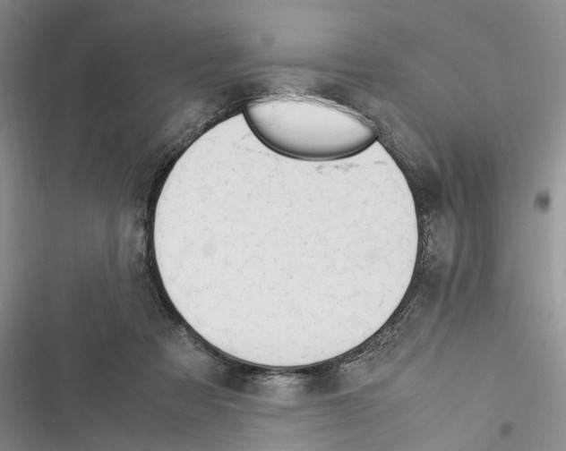 X0000116370313201001131753