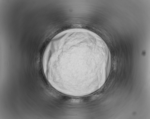 X0000116370314201001131753