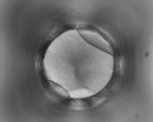 X0000116370316201001131753