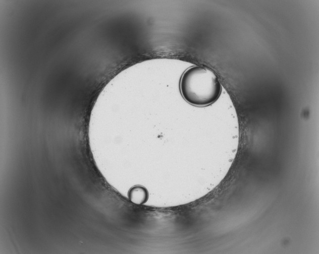 X0000116370317201001131753