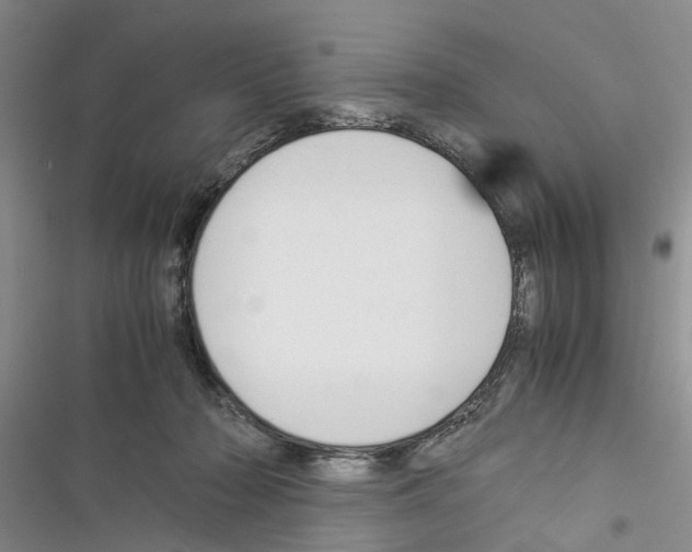 X0000116370318201001131753