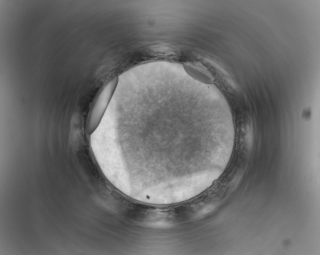 X0000116370320201001131753