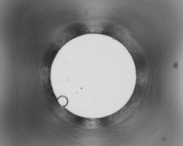 X0000116370321201001131753