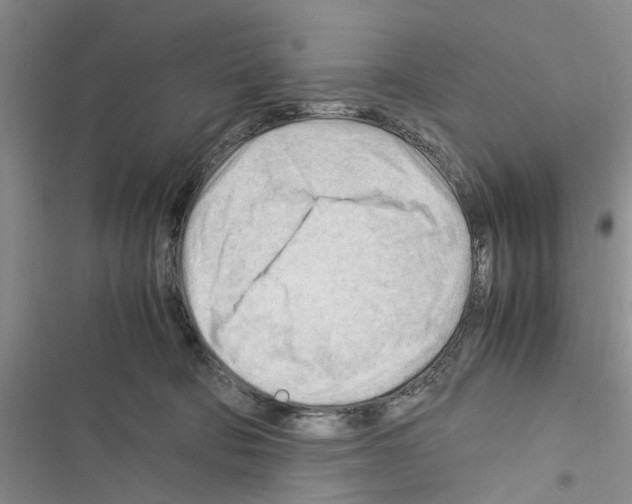 X0000116370322201001131753