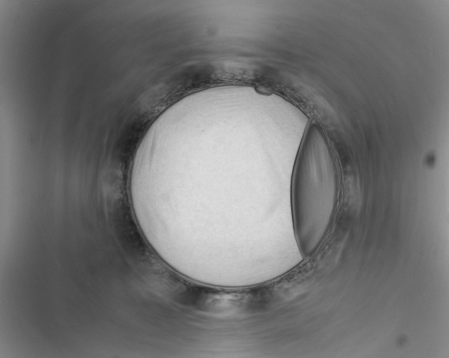 X0000116370323201001131753