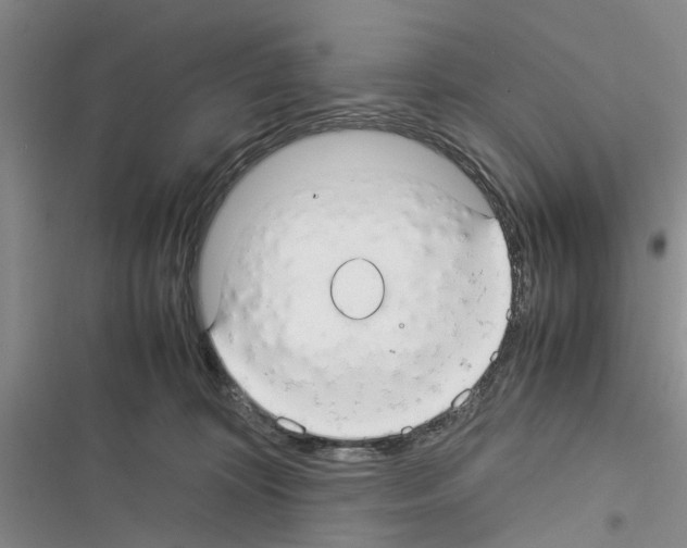 X0000116370324201001131753