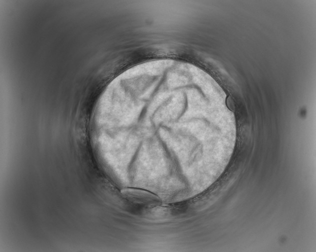 X0000116370325201001131753