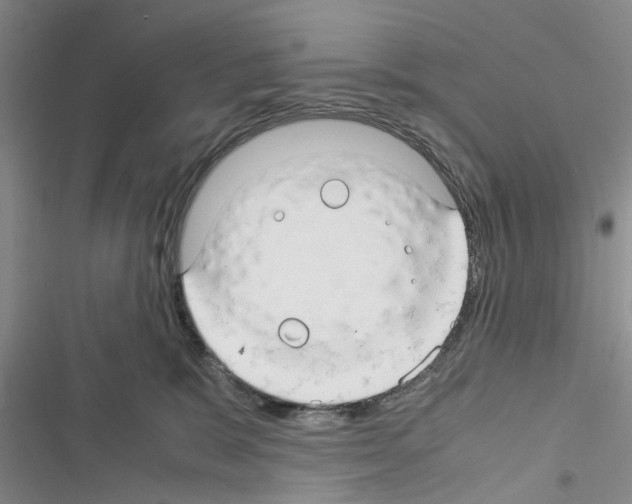 X0000116370327201001131753