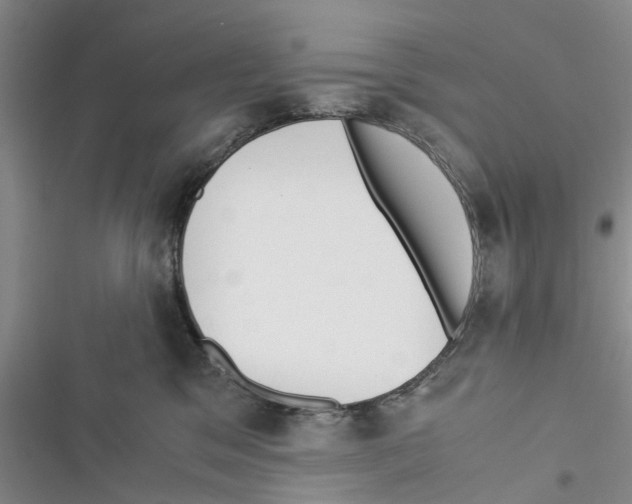 X0000116370329201001131753