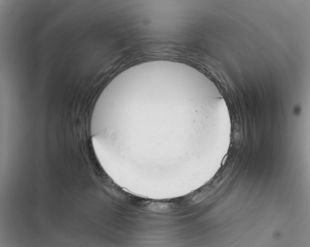 X0000116370332201001131753